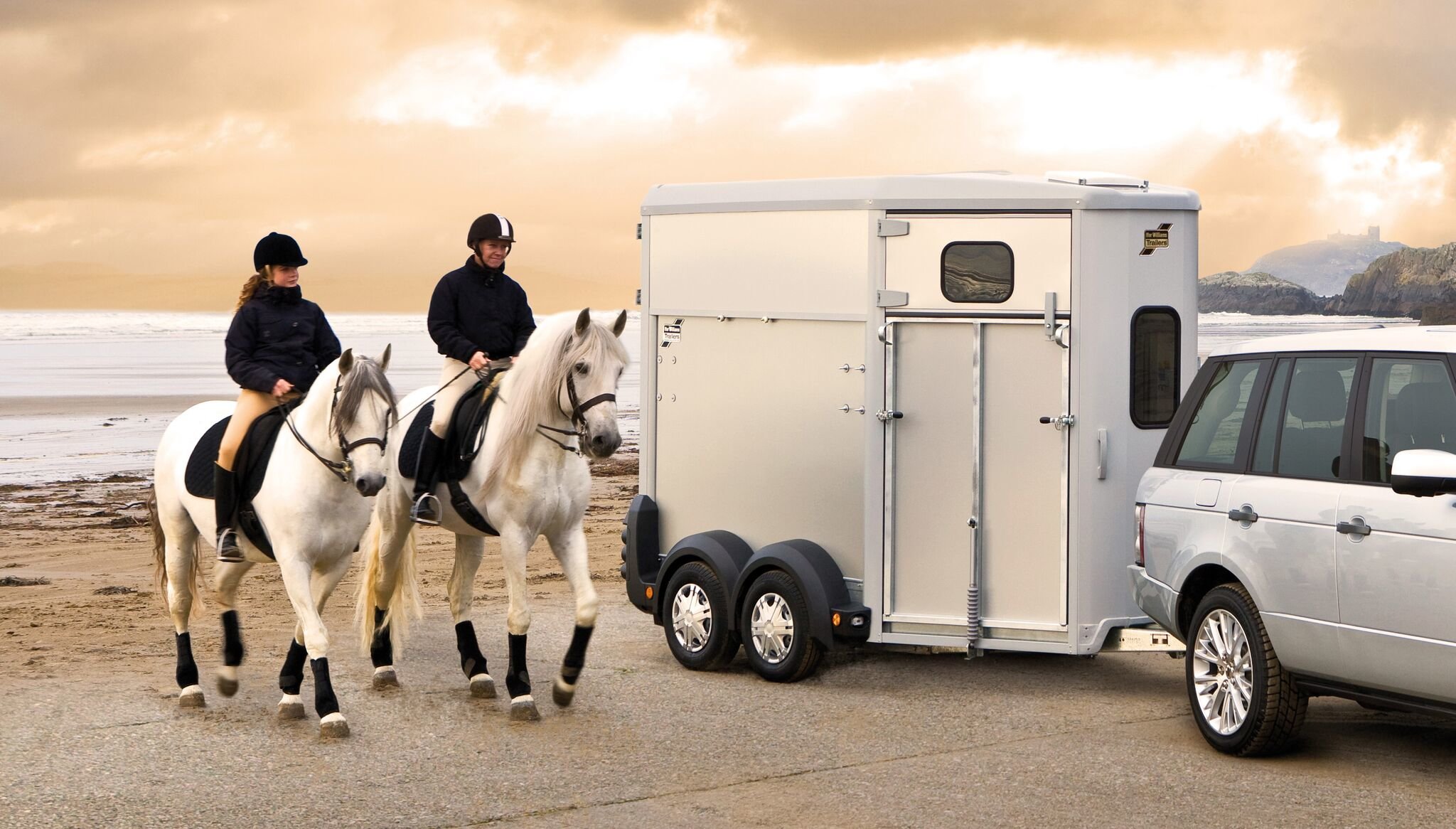 Vente van à chevaux diagonal