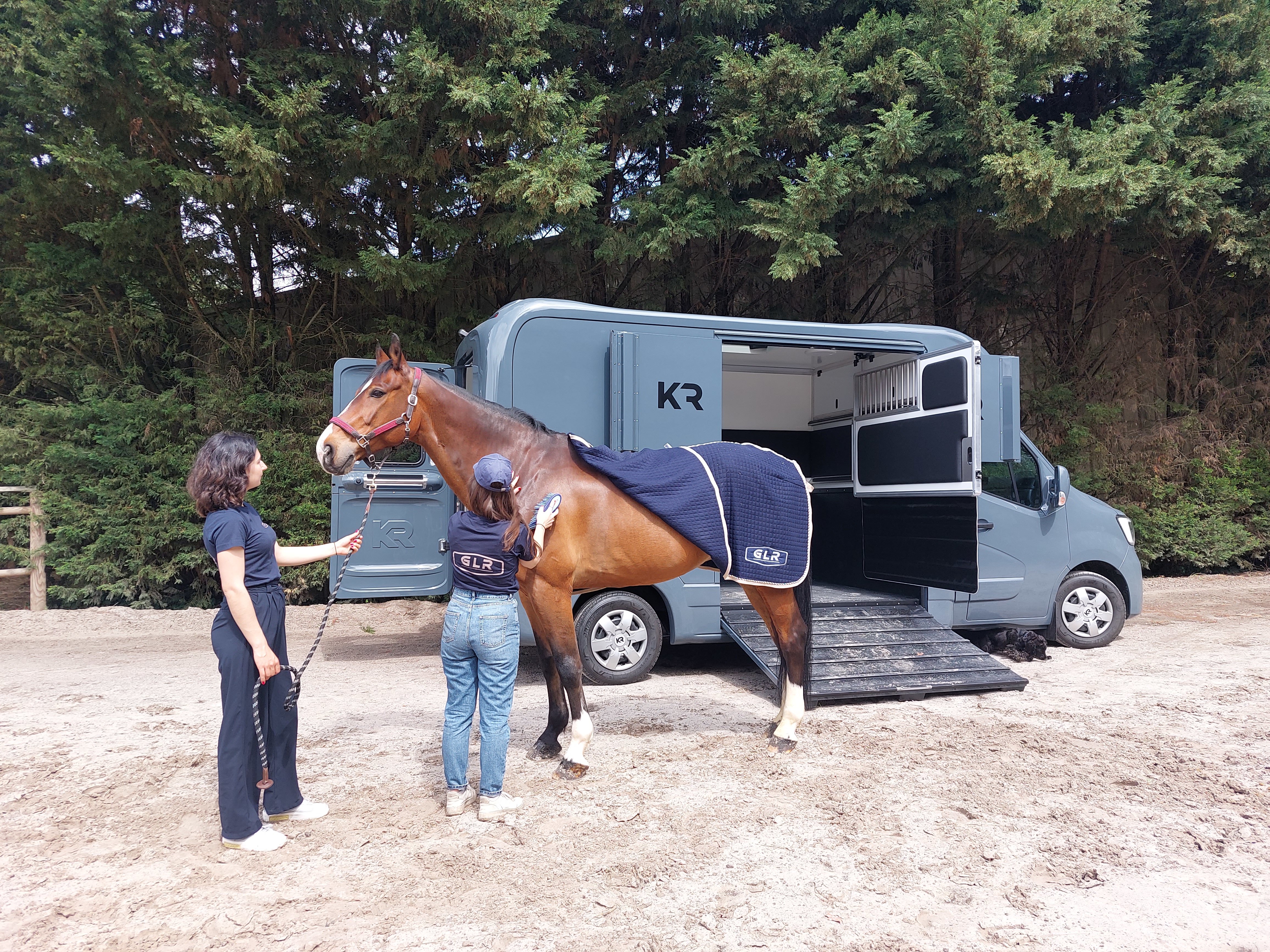 Touring One - Van Cheval Liberté dans l'Ile de France - GLR France